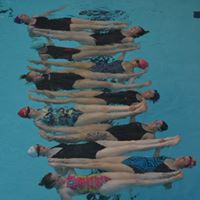 Ladies group in a line